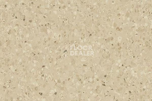 Линолеум Forbo Sphera Essence 50504 biscuit фото 1 | FLOORDEALER